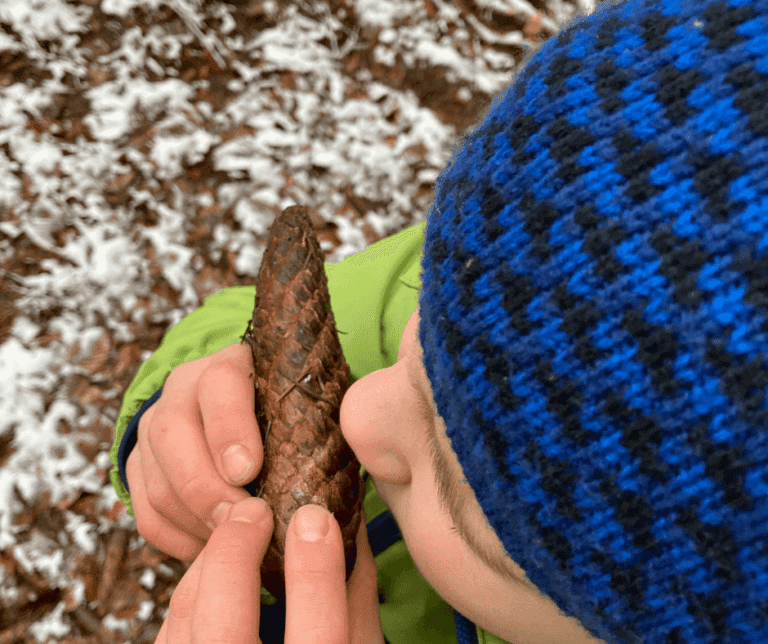 KIM Spiele: Merkfähigkeit fördern mit allen Sinnen