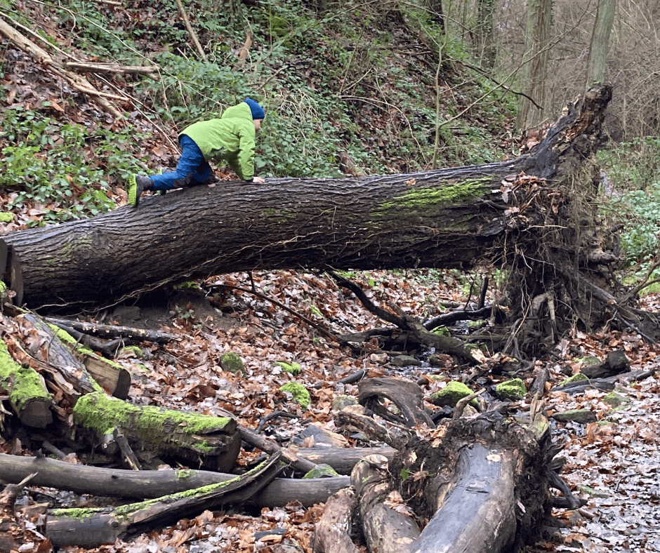 Junge klettert über Baumstamm